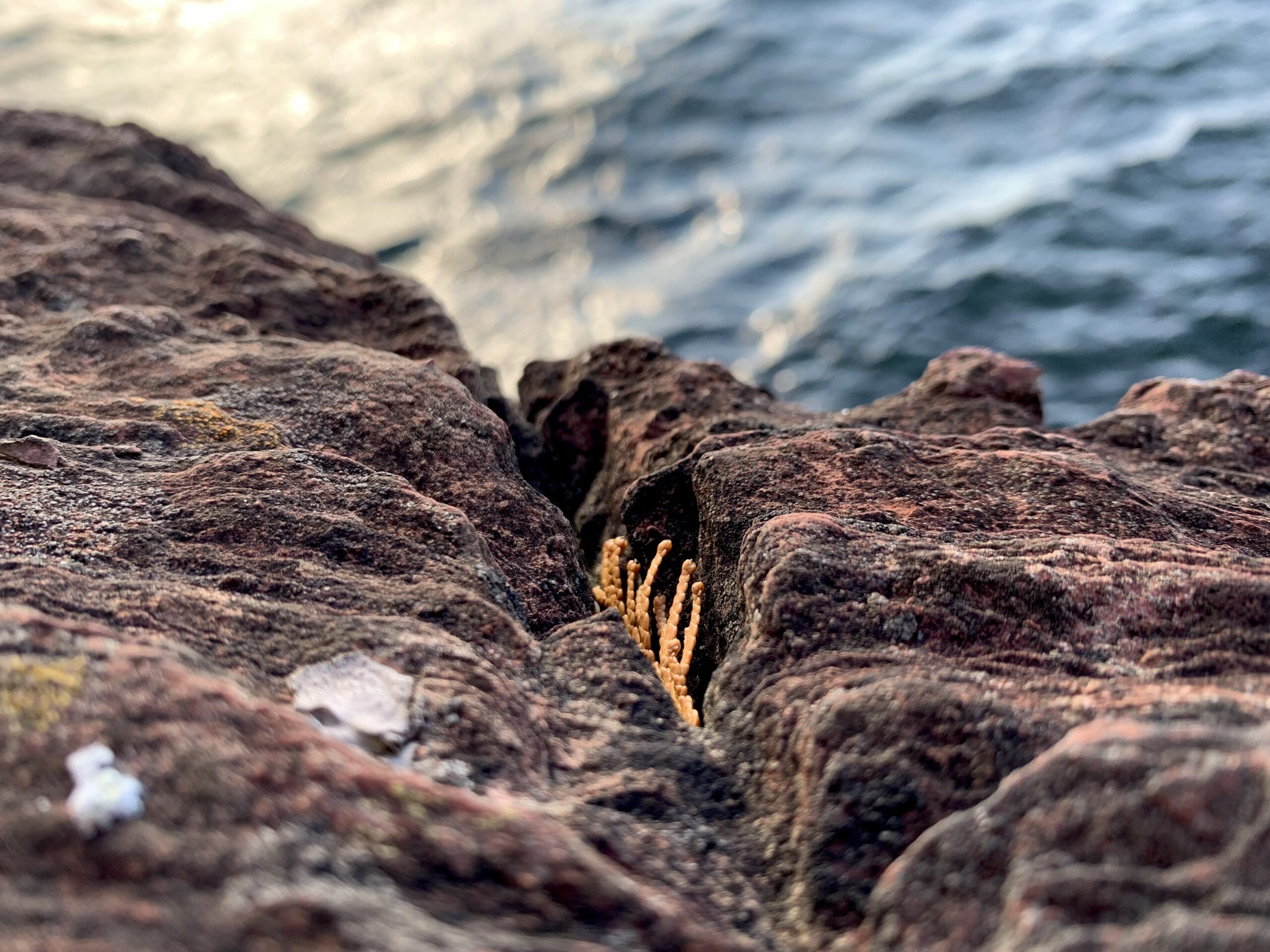 where does tension come from?