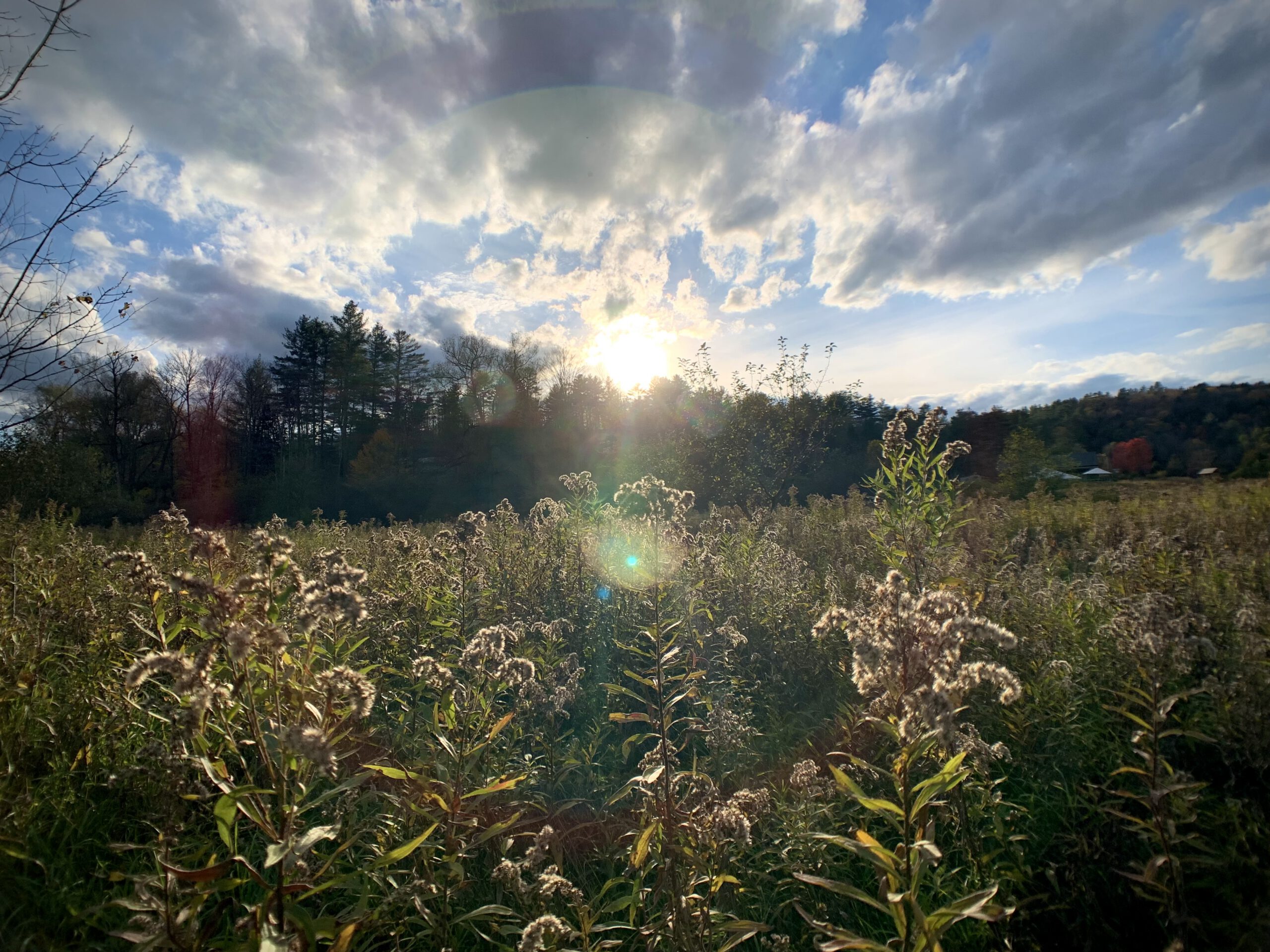 finding joy in movement